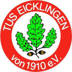Logo TuS Eicklingen 